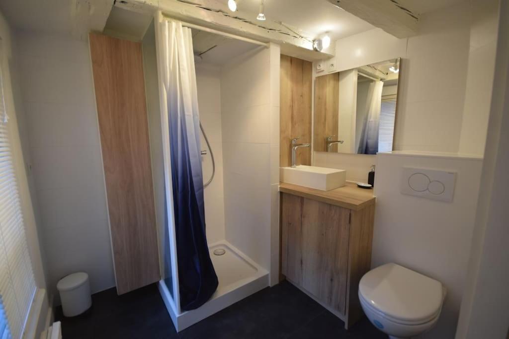 Le Studio Du Quai Des Pecheurs - Charmant Duplex Sur Les Quais Strasbourg Extérieur photo