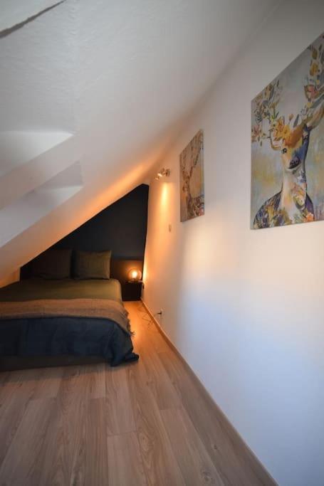 Le Studio Du Quai Des Pecheurs - Charmant Duplex Sur Les Quais Strasbourg Extérieur photo