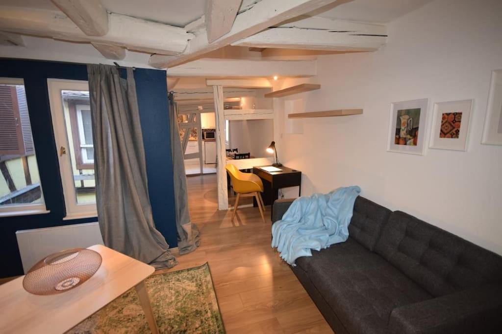 Le Studio Du Quai Des Pecheurs - Charmant Duplex Sur Les Quais Strasbourg Extérieur photo